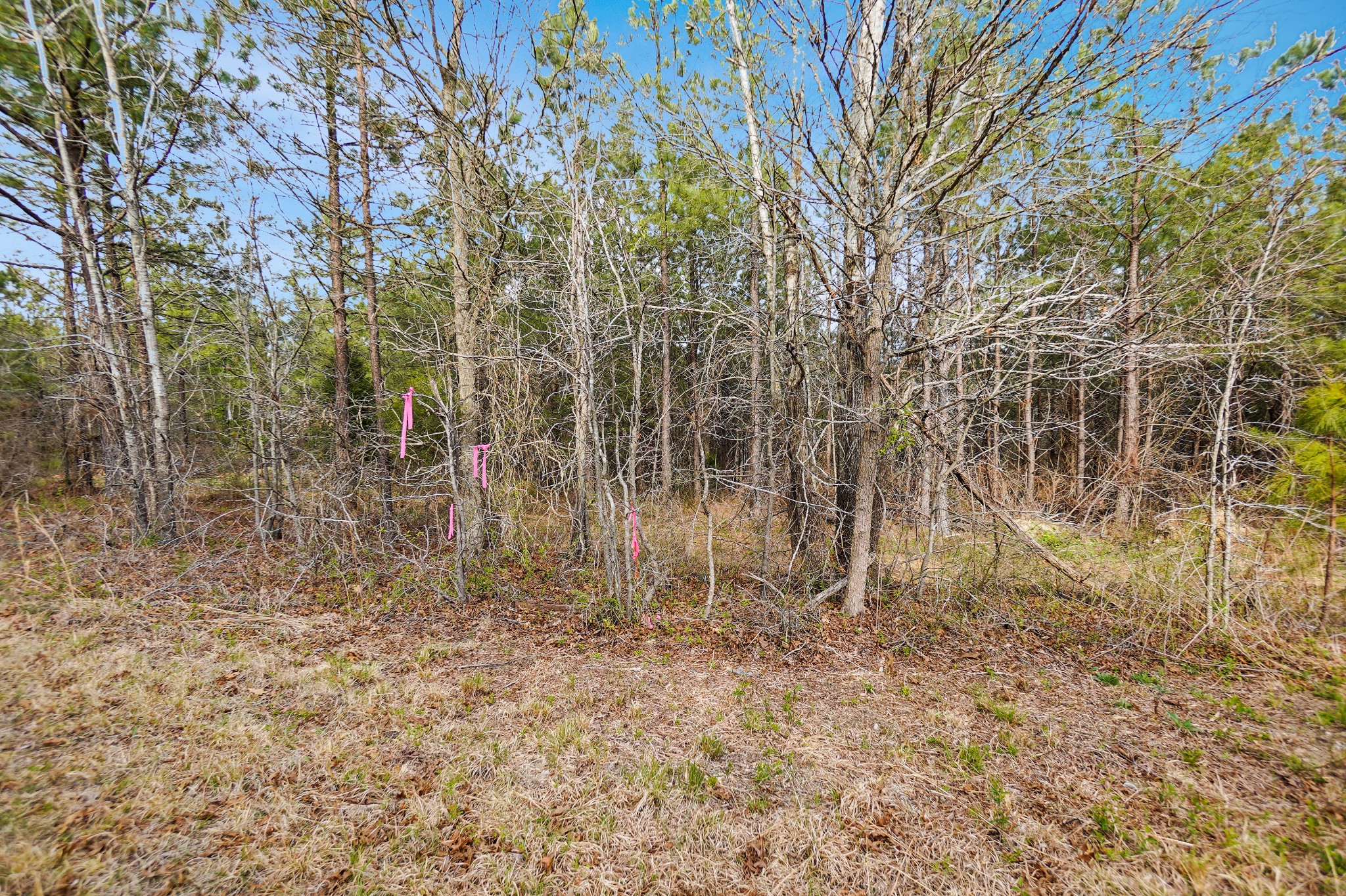 18 Ribbon Branch Road Dover, TN 37058 - Photo 4 of 12 Gallery Image 4