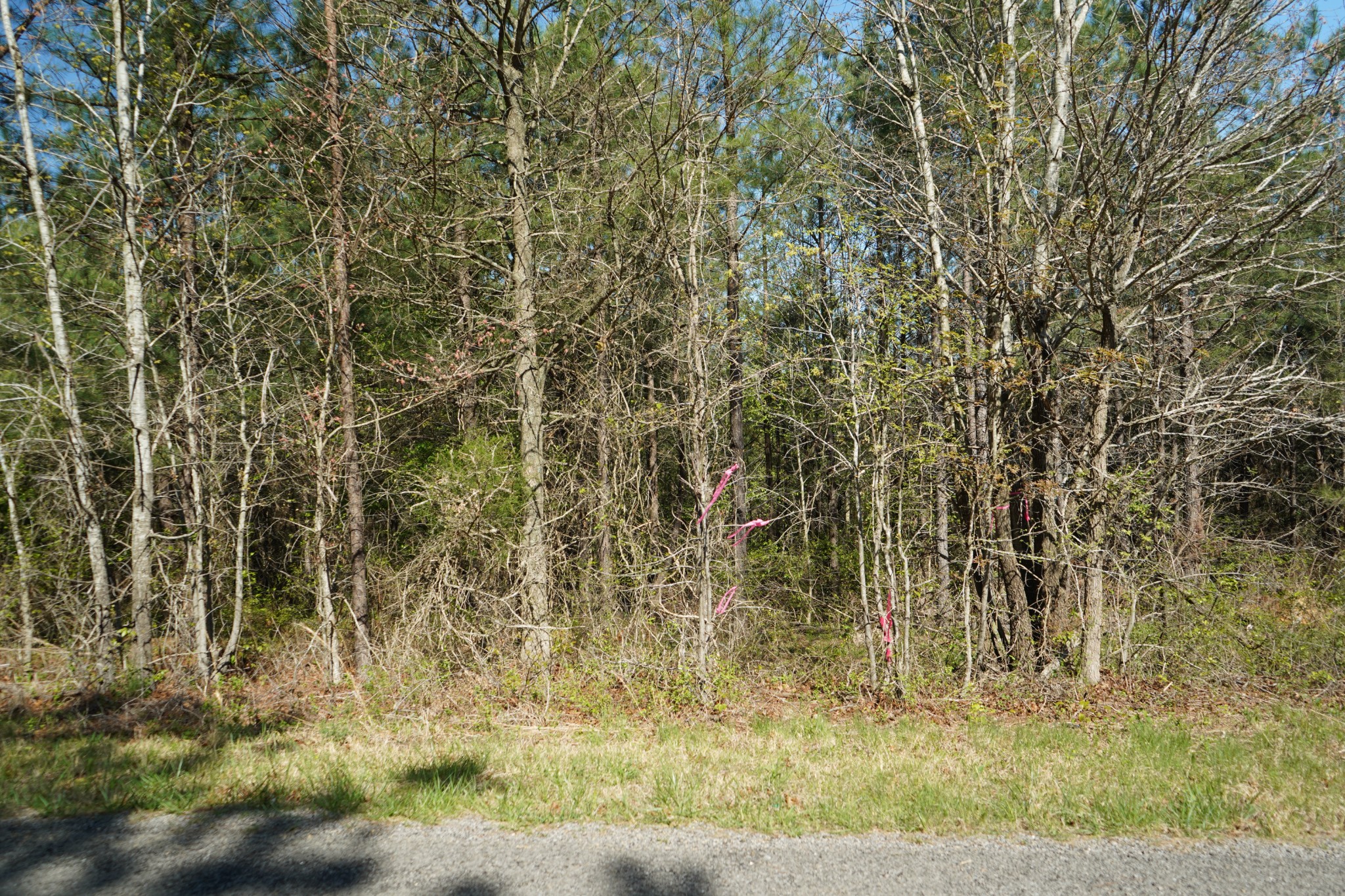 18 Ribbon Branch Road Dover, TN 37058 - Photo 6 of 12 Gallery Image 6