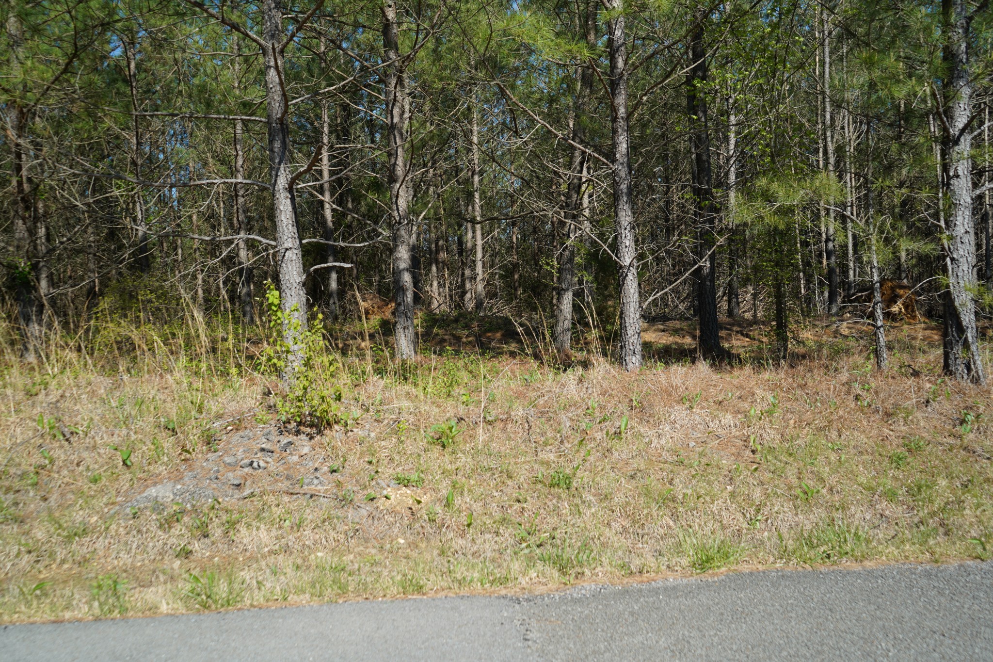 18 Ribbon Branch Road Dover, TN 37058 - Photo 7 of 12 Gallery Image 7