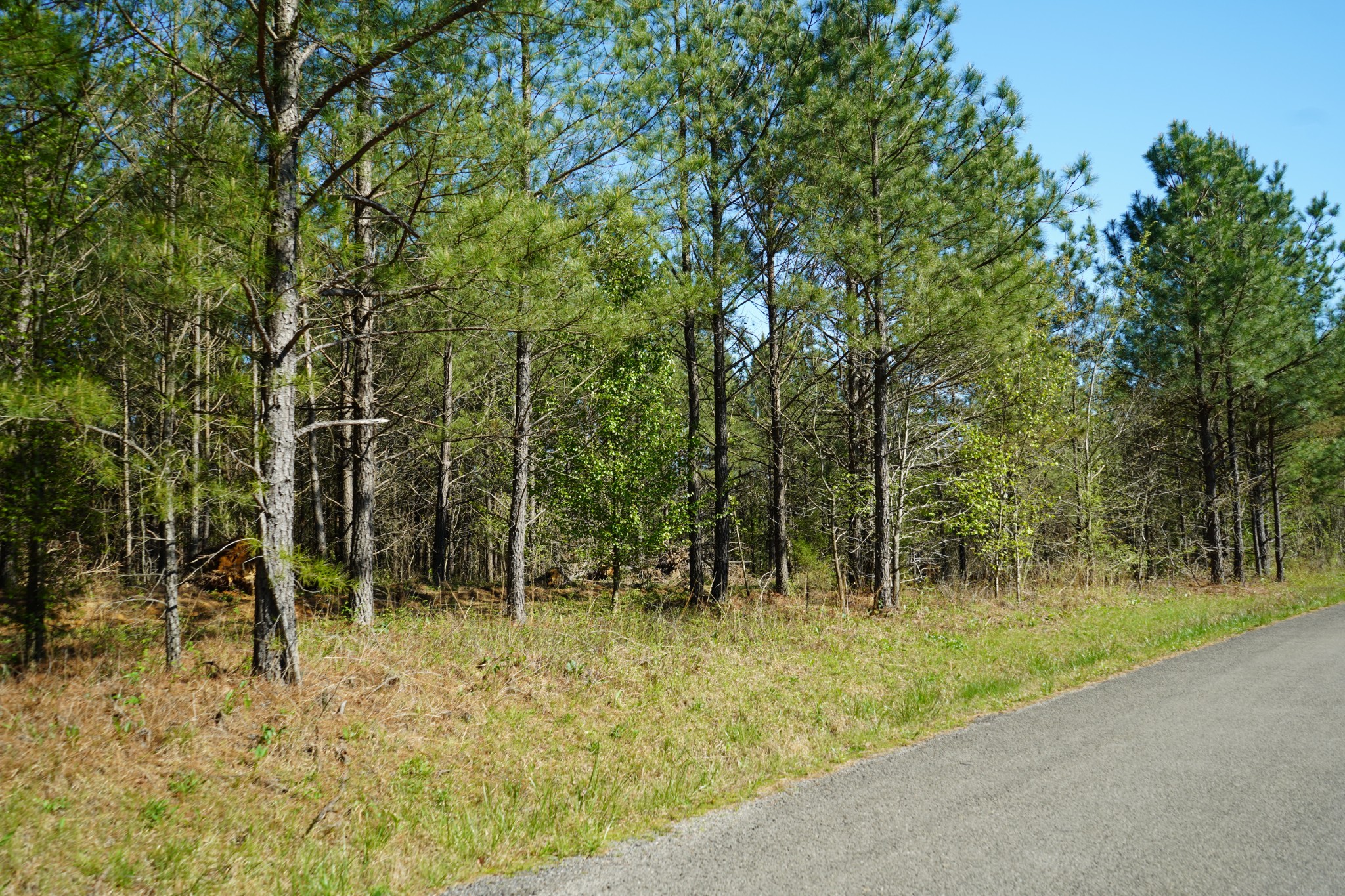 18 Ribbon Branch Road Dover, TN 37058 - Photo 8 of 12 Gallery Image 8
