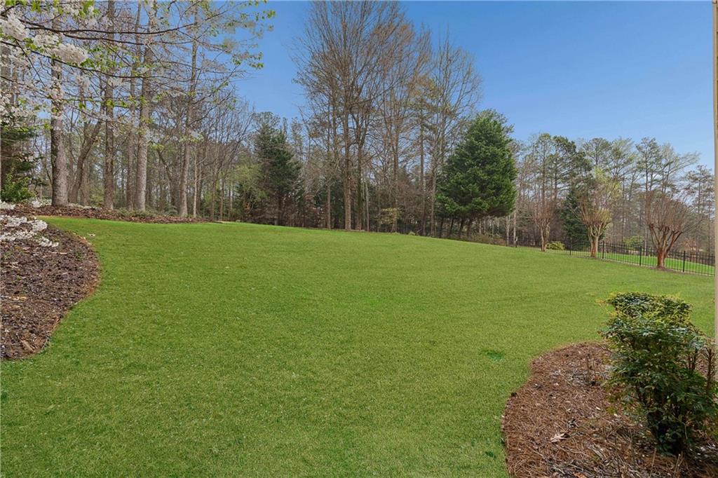 5148 Stefan Ridge Way Buford, GA 30519 - Photo 37 of 39 a view of a field with trees