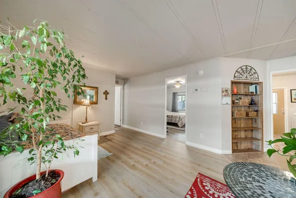 wooden floor in an empty room with a potted plant