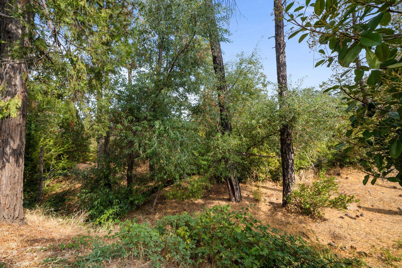 450 Gladycon Road, Unit 52 Colfax, CA 95713 - Photo 26 of 29 a view of an outdoor space and trees all around