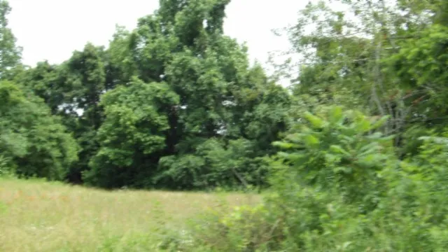 a view of a lake with a mountain in the background
