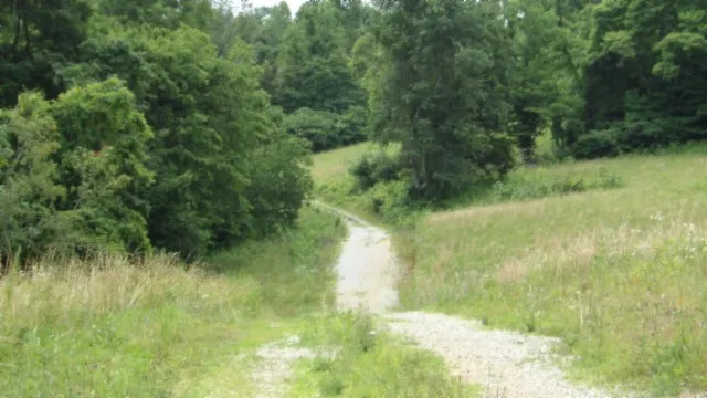 a close up of a white marble