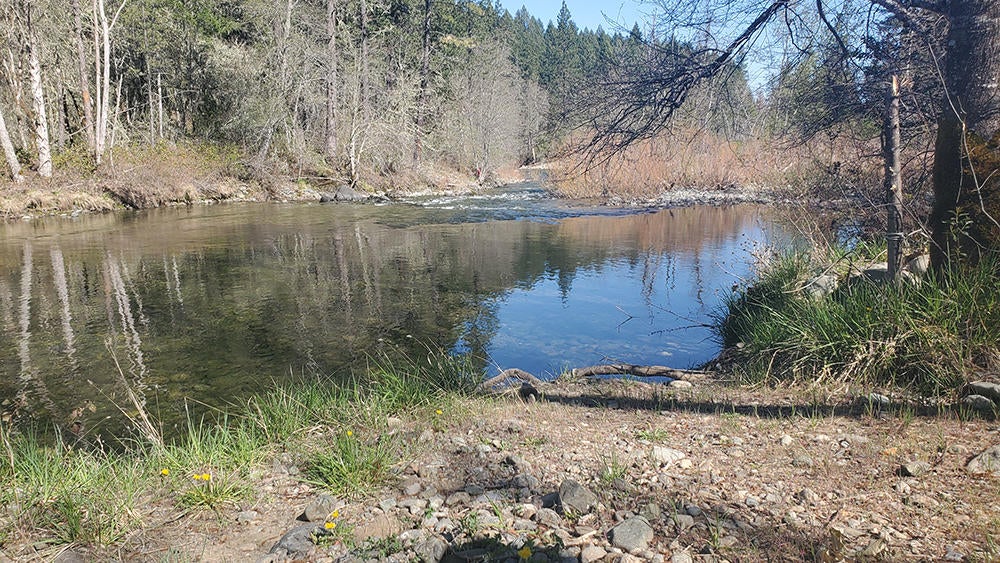 4750 Waldo Road Cave Junction, OR 97523 - Photo 1 of 22 1.5