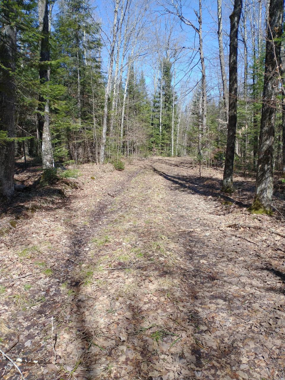 On Peeksville Road, Unit 74 95 ACRE Butternut, WI 54514 - Photo 9 of 21 Gallery Image 9