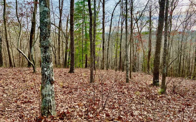 $53,000 | Lt209 Harris Ridge Drive, Ellijay, GA 30540