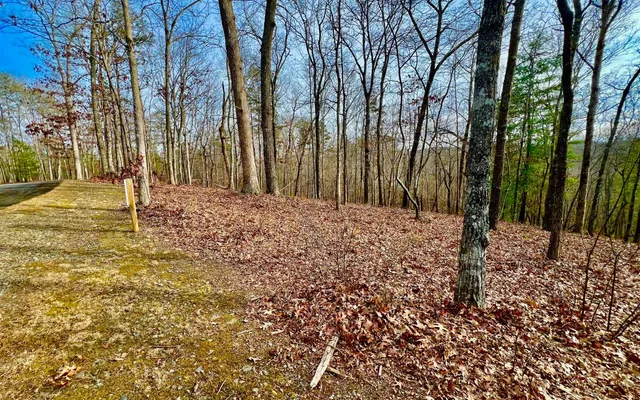 $53,000 | Lt209 Harris Ridge Drive, Ellijay, GA 30540