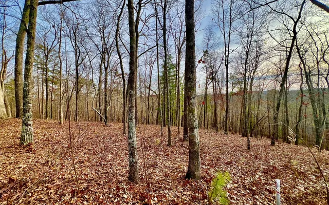 $53,000 | Lt209 Harris Ridge Drive, Ellijay, GA 30540