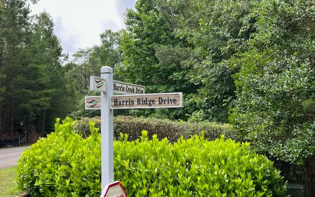 $53,000 | Lt209 Harris Ridge Drive, Ellijay, GA 30540