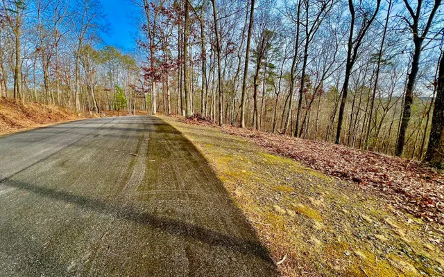 $53,000 | Lt209 Harris Ridge Drive, Ellijay, GA 30540