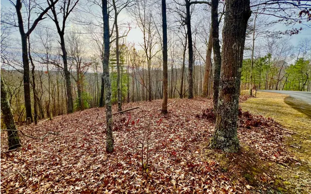 $53,000 | Lt209 Harris Ridge Drive, Ellijay, GA 30540