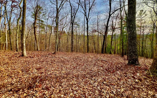 $53,000 | Lt209 Harris Ridge Drive, Ellijay, GA 30540