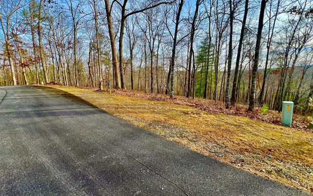 $53,000 | Lt209 Harris Ridge Drive, Ellijay, GA 30540