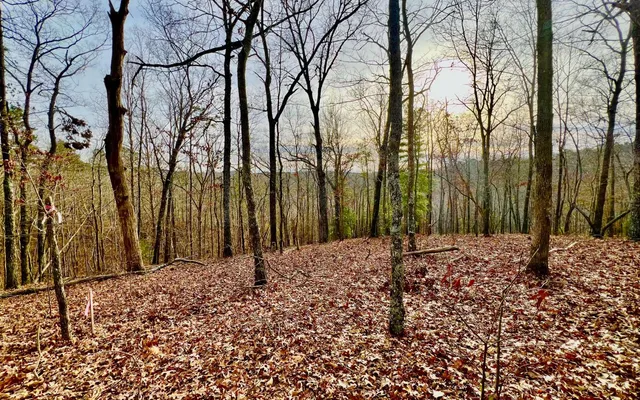 $53,000 | Lt209 Harris Ridge Drive, Ellijay, GA 30540