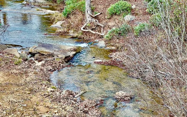 $53,000 | Lt209 Harris Ridge Drive, Ellijay, GA 30540