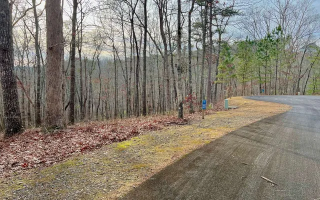 $53,000 | Lt209 Harris Ridge Drive, Ellijay, GA 30540