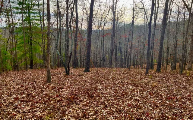 $53,000 | Lt209 Harris Ridge Drive, Ellijay, GA 30540