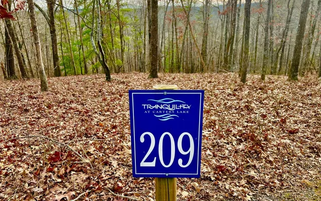 $53,000 | Lt209 Harris Ridge Drive, Ellijay, GA 30540