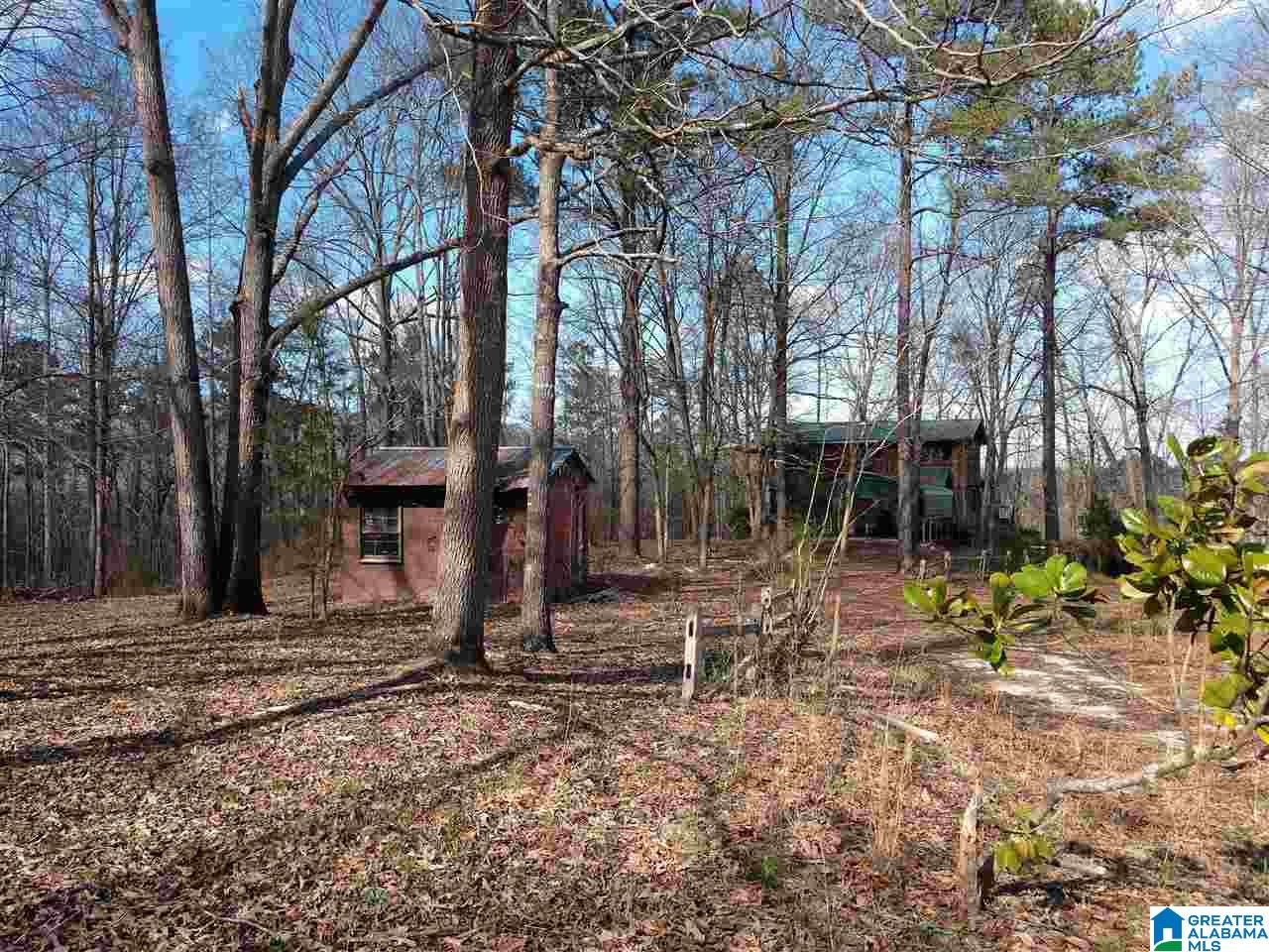 500 Lake Street Springville, AL 35146 - Photo 18 of 31