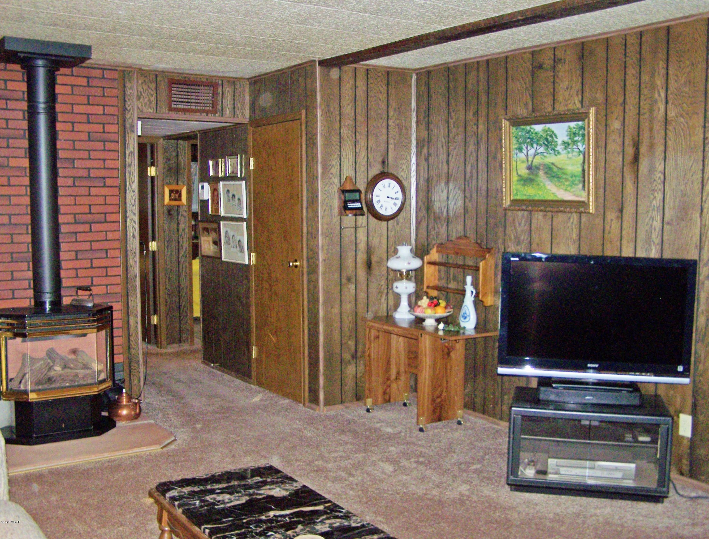 16 County Road Alpine, AZ 85920 - Photo 14 of 27