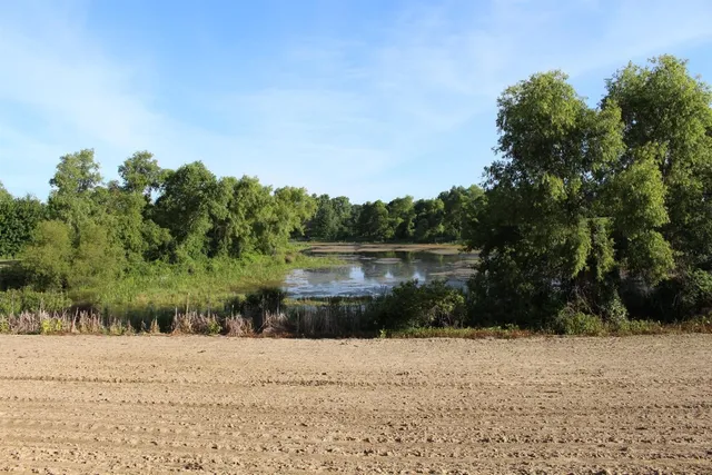 $1,099,500 | 19740 Lemm Road, Manchester, MI 48158