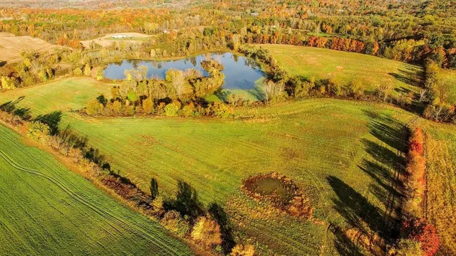 $1,099,500 | 19740 Lemm Road, Manchester, MI 48158