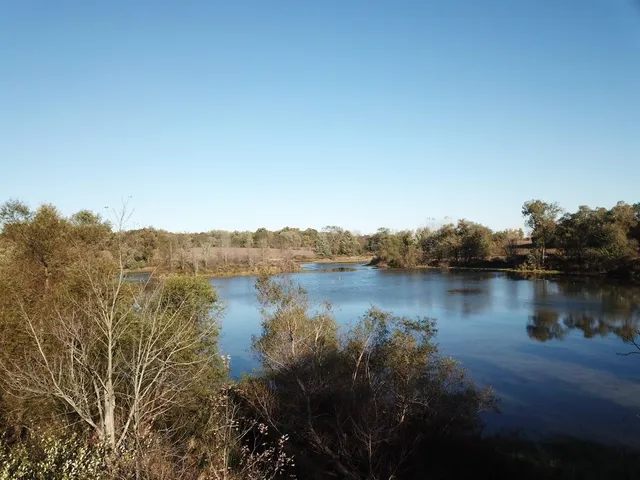 $1,099,500 | 19740 Lemm Road, Manchester, MI 48158