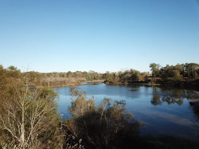 $1,099,500 | 19740 Lemm Road, Manchester, MI 48158