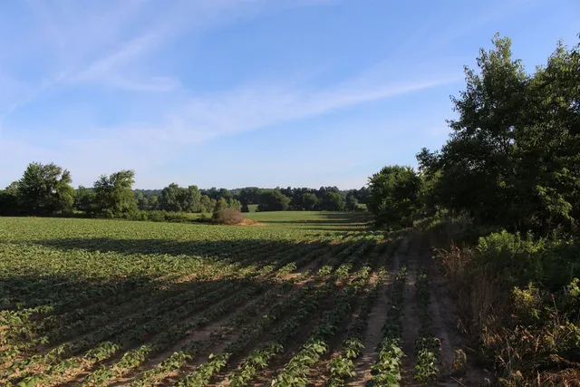 $1,099,500 | 19740 Lemm Road, Manchester, MI 48158