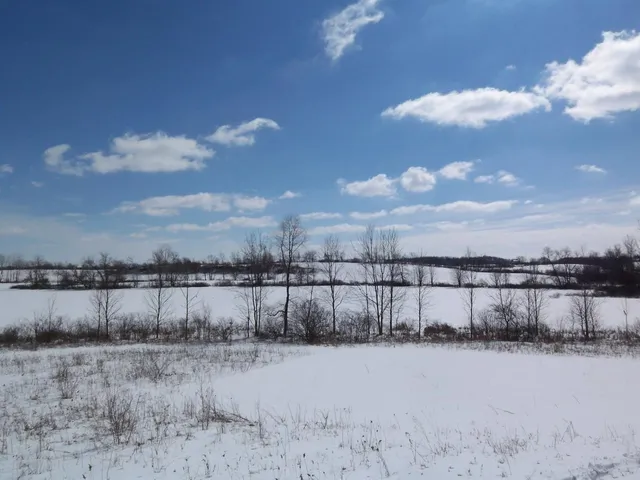 $1,099,500 | 19740 Lemm Road, Manchester, MI 48158