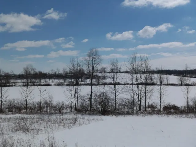 $1,099,500 | 19740 Lemm Road, Manchester, MI 48158