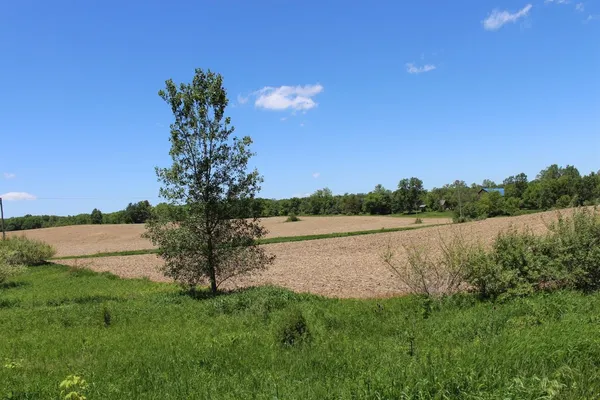 $1,099,500 | 19740 Lemm Road, Manchester, MI 48158