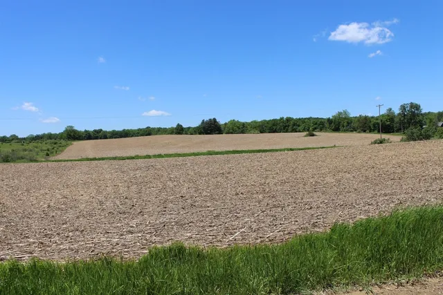 $1,099,500 | 19740 Lemm Road, Manchester, MI 48158