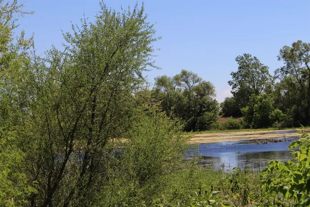 $1,099,500 | 19740 Lemm Road, Manchester, MI 48158