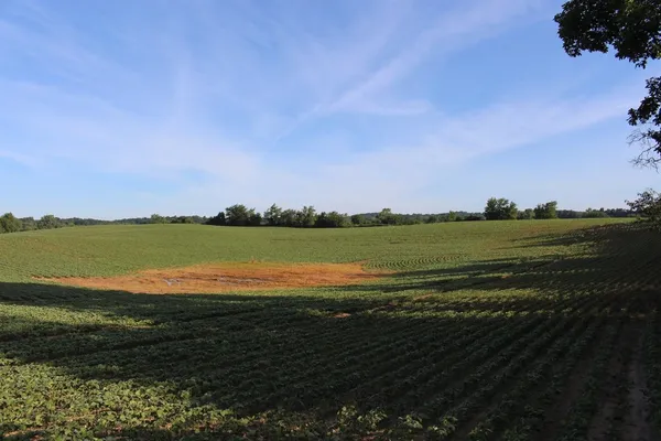 $1,099,500 | 19740 Lemm Road, Manchester, MI 48158