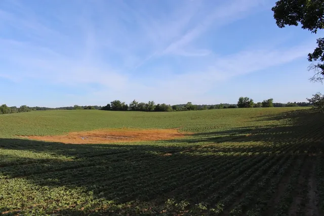 $1,099,500 | 19740 Lemm Road, Manchester, MI 48158