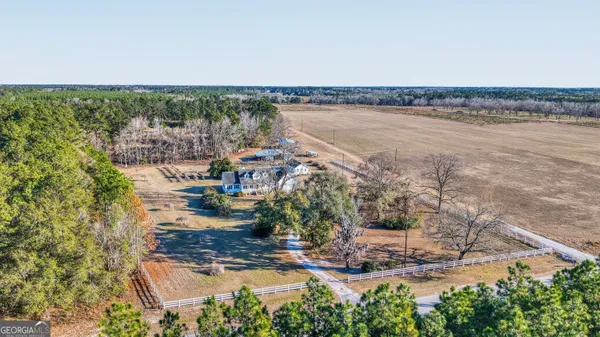 a view of a yard with trees