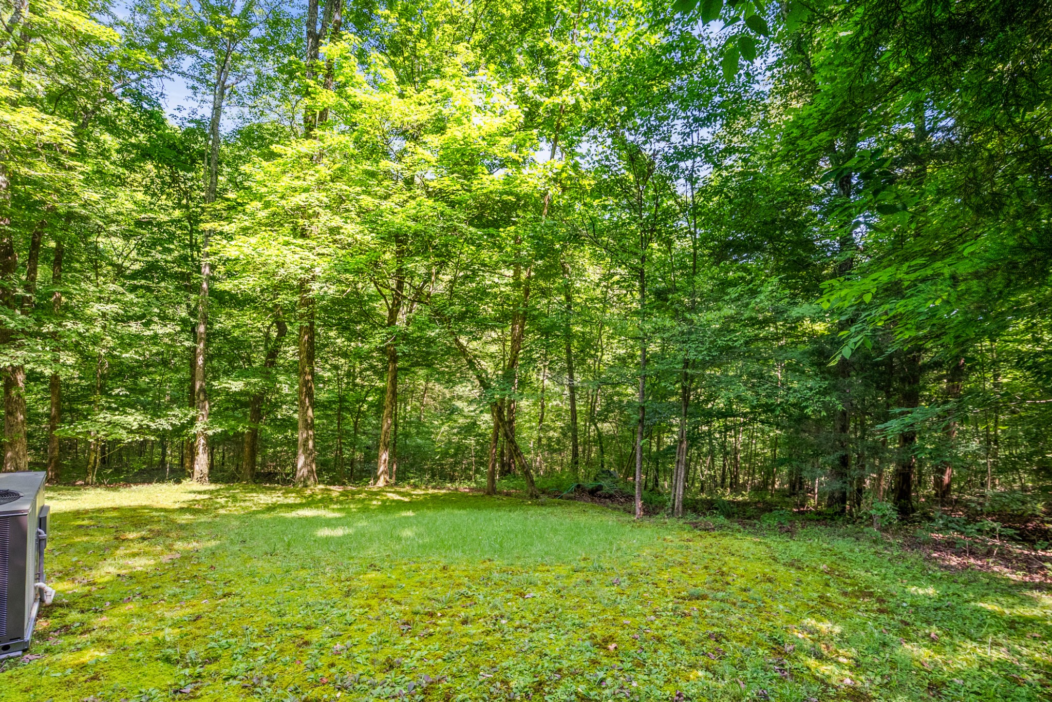 1150 Treanor Springs Road Kingston Springs, TN 37082 - Photo 26 of 48