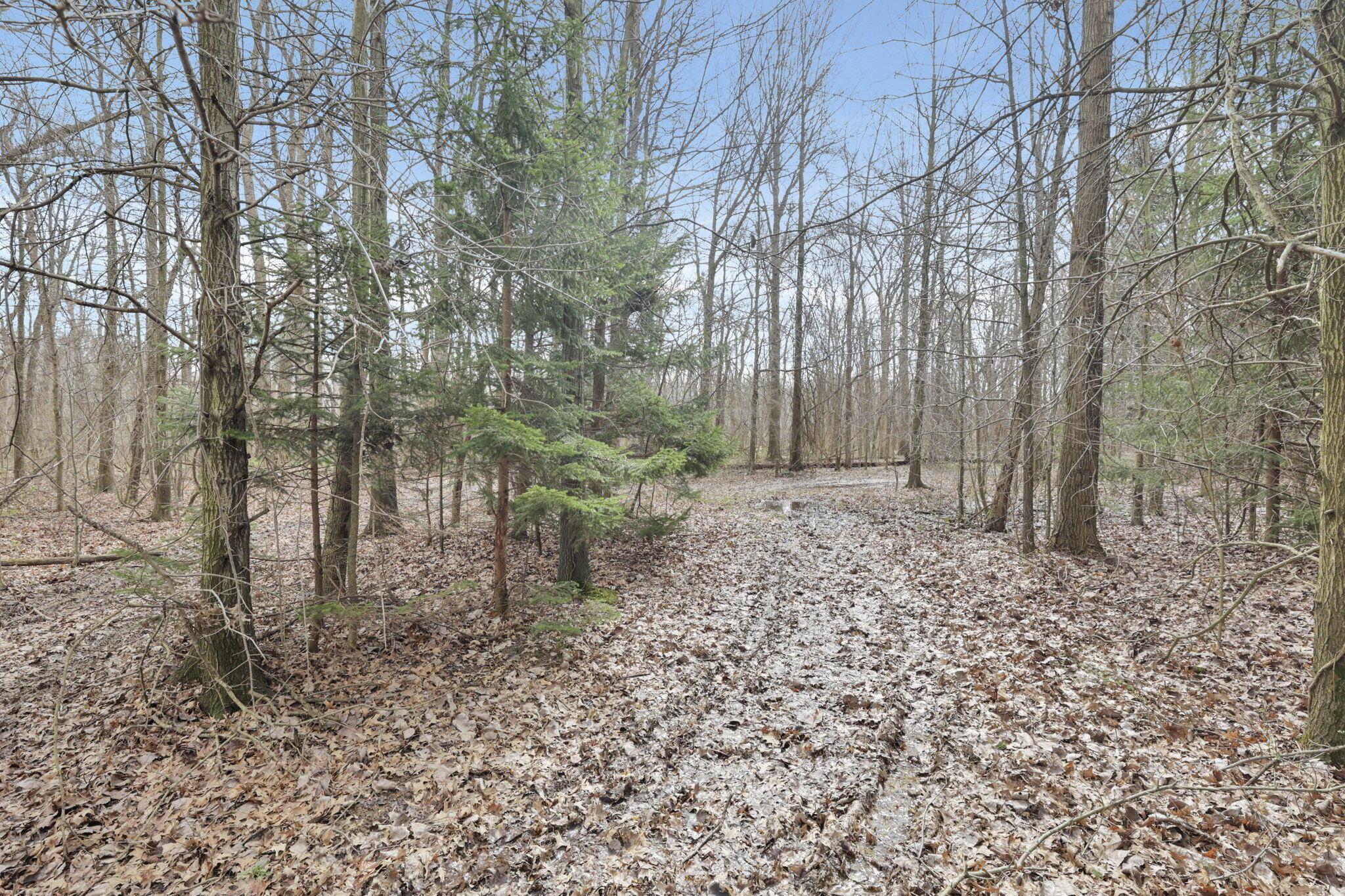 1133 Shearer Road Galion, OH 44833 - Photo 69 of 88 23