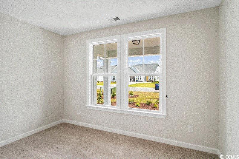 307 Starlit Way Myrtle Beach, SC 29579 - Photo 11 of 25 Gallery Image 11