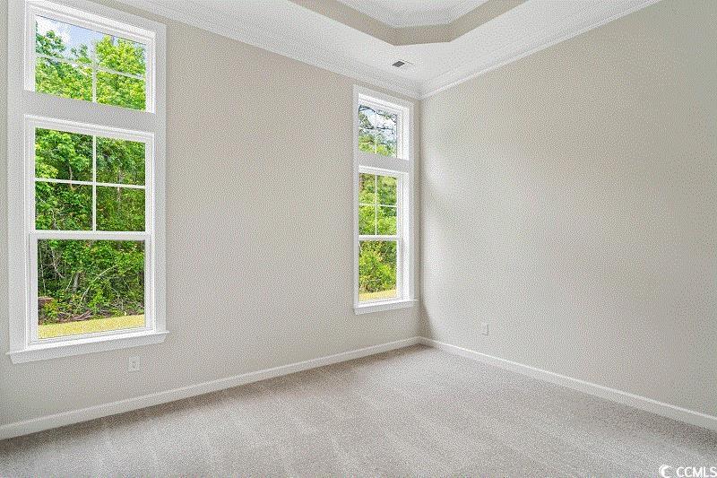 307 Starlit Way Myrtle Beach, SC 29579 - Photo 14 of 25 Gallery Image 14