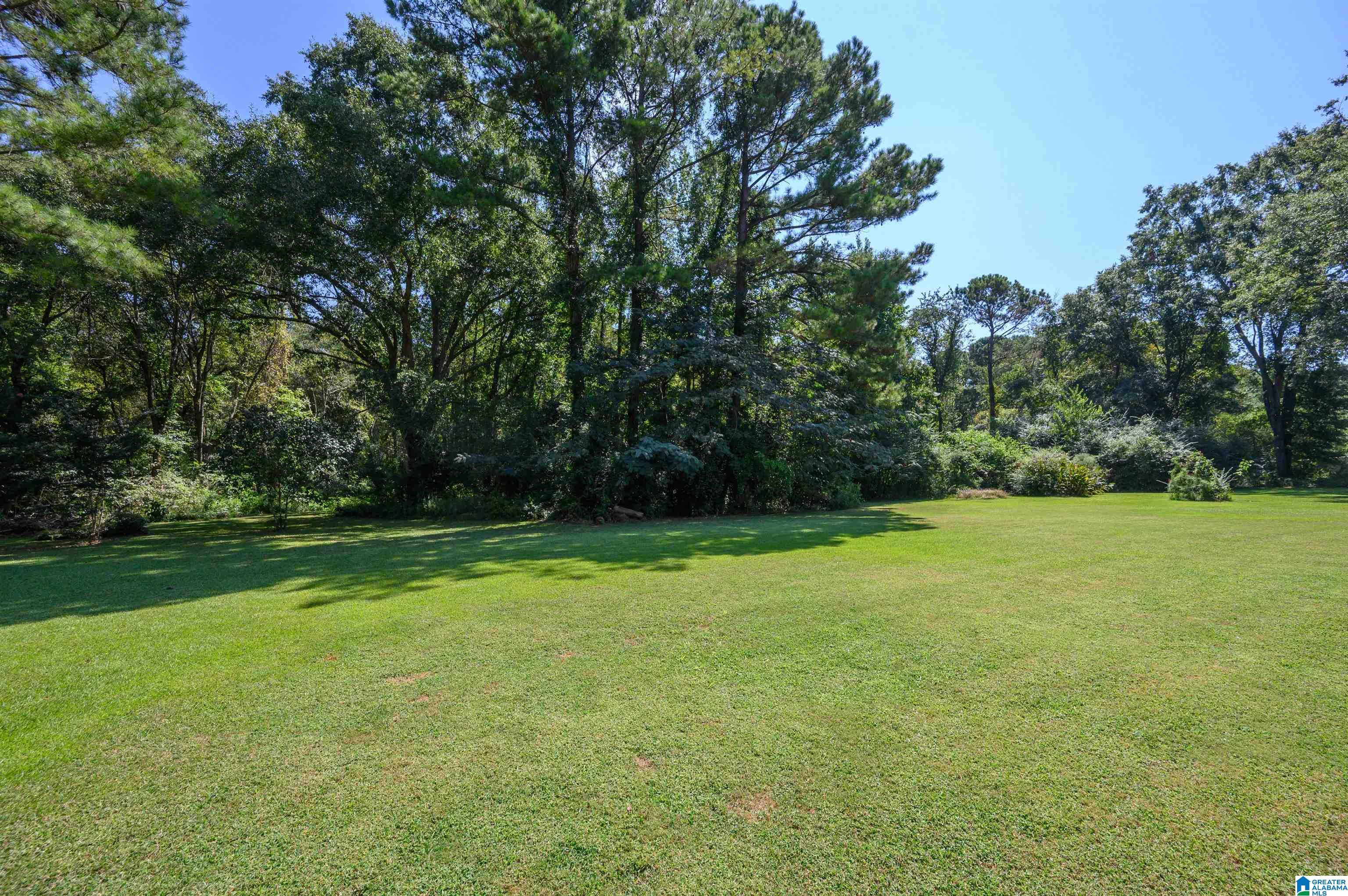 497 Cove Road Wilsonville, AL 35186 - Photo 63 of 65 Gallery Image 63