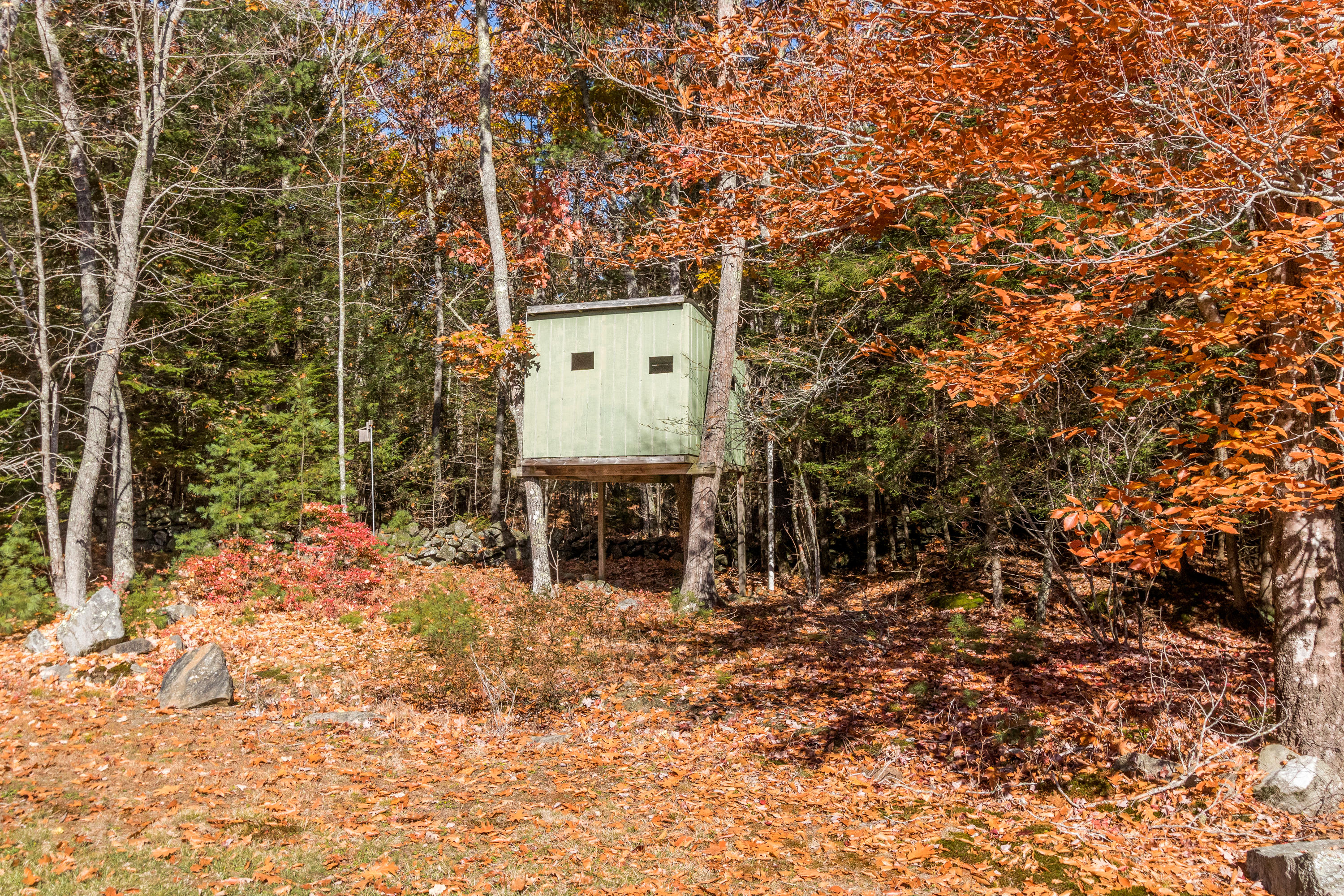 33 Webber Road Georgetown, ME 04548 - Photo 40 of 49 20201027PC-52026