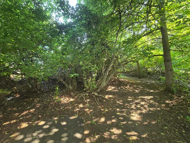 $389,000 | 1 Birchwood Court, Wind Point, WI 53402