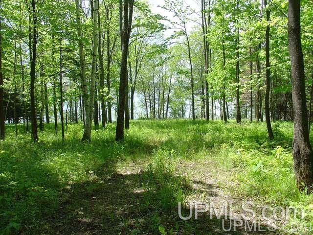 11030 East Shore Road Ewen, MI 49925 - Photo 4 of 6