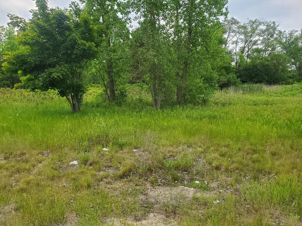 7205 East Pickard Road, Unit LOT: 12 Mount Pleasant, MI 48858 - Photo 5 of 6