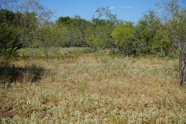 a view of a field with trees in the background