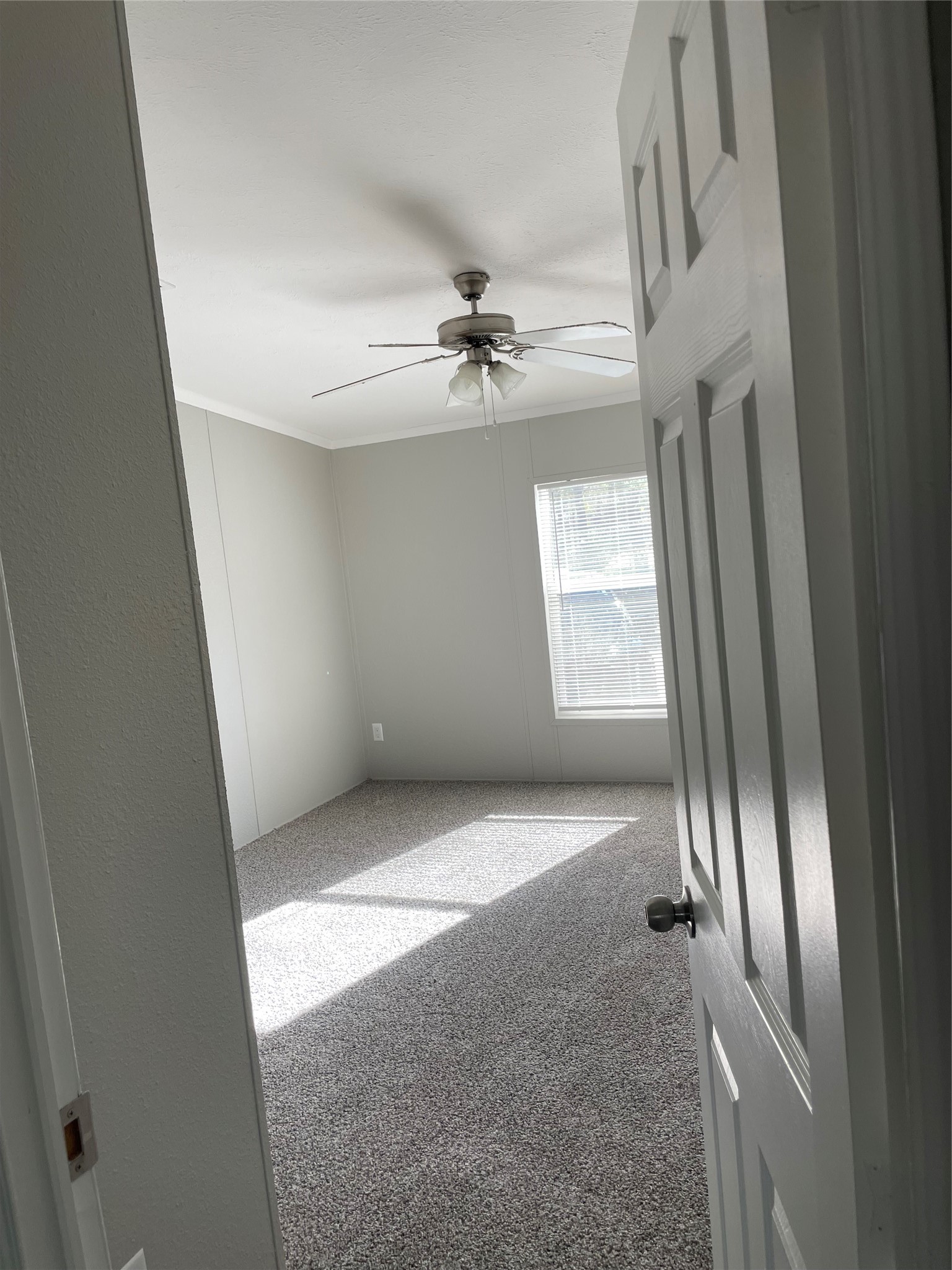 13406 Tommy Smith Road Conroe, TX 77306 - Photo 8 of 11